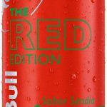 Red Bull Wassermelonengeschmack 250ml / 24 Stk.